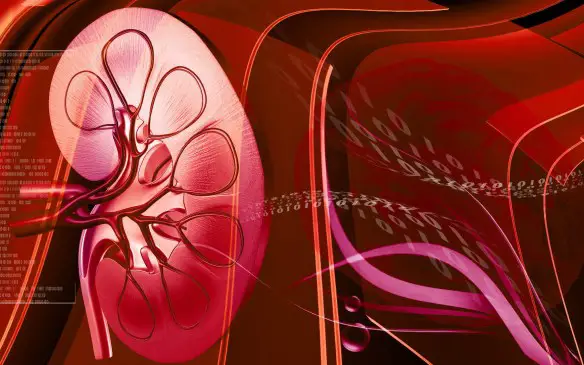 Dott. Loiacono Emilio Alessio Medicina Chirurgia Estetica Benessere Dietologia Sessuologia Ecografie Tabagismo Smettere di fumare Combattere l’ipertensione farmaci non funzionano tecnica della denervazione renale