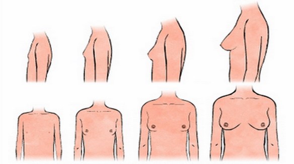 Dott Emilio Alessio Loiacono Medico Chirurgo Flebologo Ecografia Vascolare Articolare STORIA SENO EMBRIONE MENOPAUSA Nei Medicina Estetica Luce Pulsata Depilazione Macchie Capillari Mappatura Rughe Dietologo Roma Radiofrequenza Cavitazione Cellulite