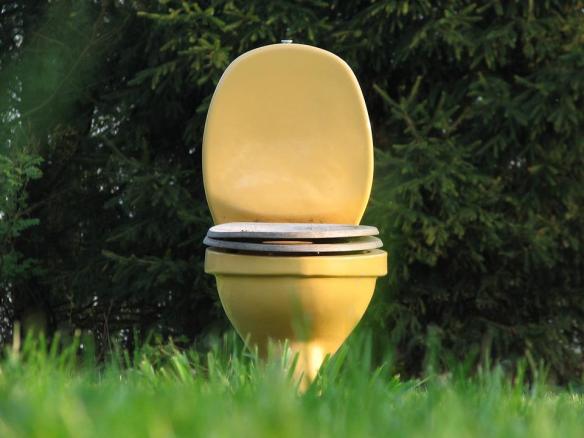 MEDICINA ONLINE EMILIO ALESSIO LOIACONO MEDICO BAGNO TAZZA TOILETTE WC SANITARI CACCA FECI URINA PIPI GABINETTO BIDET CISTITE EMORROIDI STIPSI COSTIPAZIONE STITICHEZZA (3)