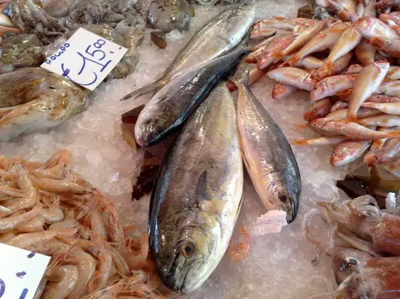 Dott. Loiacono Emilio Alessio Medico Chirurgo Chirurgia Roma Cavitazione Pressoterapia  Massaggio Linfodrenante Dietologo Cellulite Calorie Peso Dieta Sessuologia PSA Pene Laser Sesso Filler Rughe Grasso Botulino CRISI ECONOMICA MANGIARE POCO PESCE