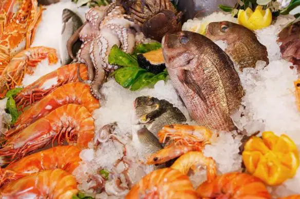 MEDICINA ONLINE EMILIO ALESSIO LOIACONO MEDICO CHIRURGO PESCE CIBO SALMONE CUCINA DIETA OMEGA 3 (4)