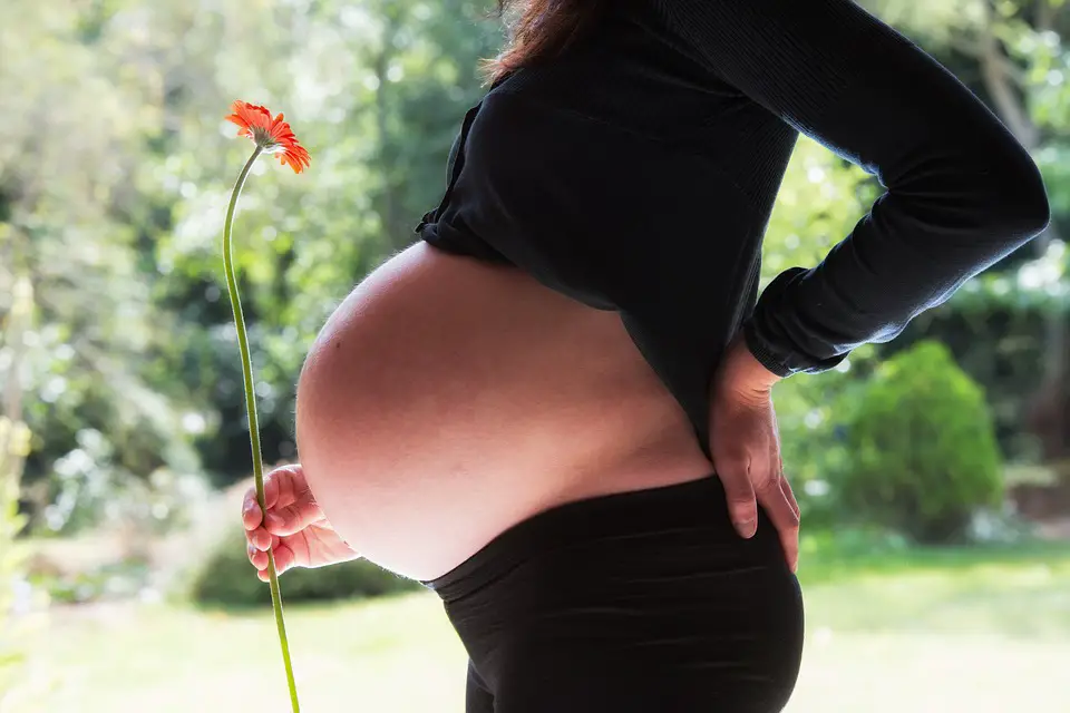 MEDICINA ONLINE EMILIO ALESSIO LOIACONO MEDICO GRAVIDANZA MATERNITA FIGLIO MAMMA MADRE GENITORI CONCEPIMENTO PARTO FETO EMBRIONE (7)