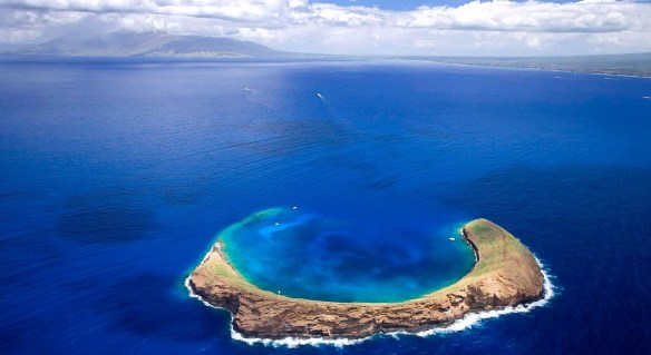 Dott Emilio Alessio Loiacono Medico Chirurgo WEEK END MARE Molokini Maui Hawaii Dieta Chirurgia Estetica Roma Cavitazione Pressoterapia Grasso Massaggio Linfodrenante Dietologo Cellulite Calorie Peso Sessuologia Pene Laser Filler Rughe Botulino 01