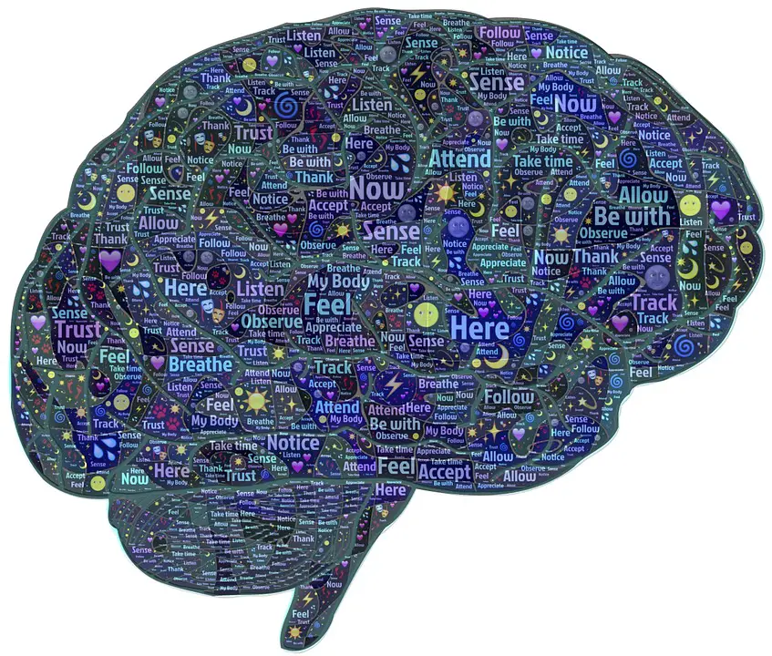 MEDICINA ONLINE EMILIO ALESSIO LOIACONO MEDICO CHIRURGO CERVELLO SISTEMA NERVOSO BRAIN (5)