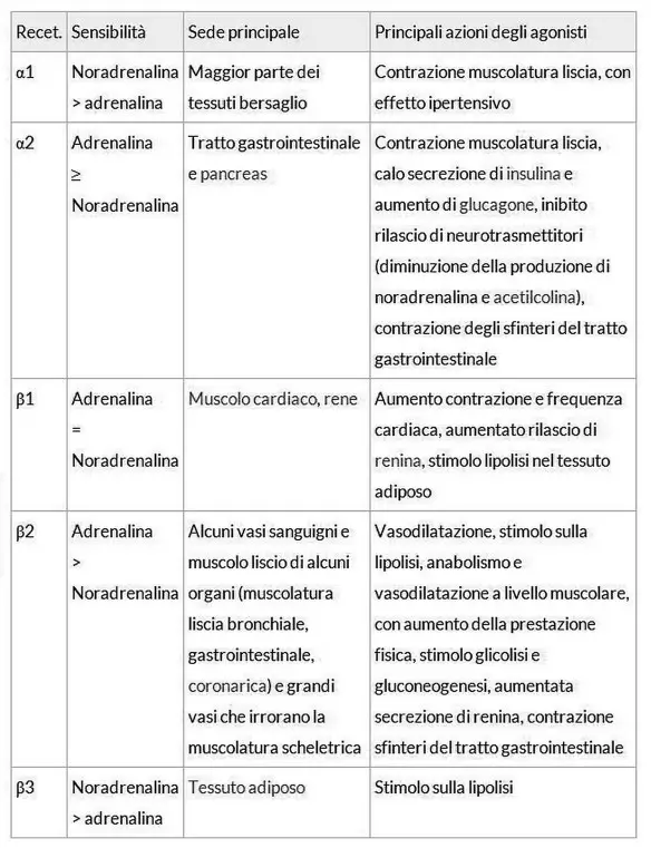 Dott Emilio Alessio Loiacono Medico Chirurgo Estetico Medicina Estetica Roma COSE ADRENALINA A COSA SERVE Epinefrina Radiofrequenza Cavitazione Cellulite Pulsata Peeling Pressoterapia Linfodrenante Tecarterapia Dietologo Dermatologo Mappatura Nei 02