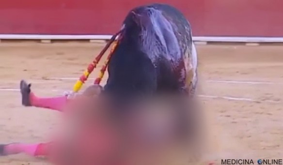 medicina-online-il-toro-lorenzo-uccide-il-torero-durante-la-corrida-basta-con-questo-spettacolo-indegno-video