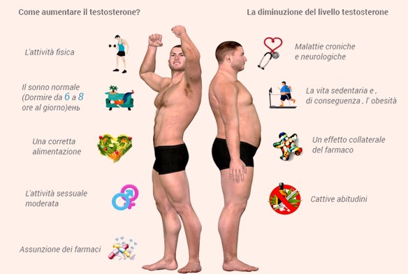 MEDICINA ONLINE Dott Emilio Alessio Loiacono Medico Chirurgo Roma AUMENTARE TESTOSTERONE MUSCOLI SESSO PALESTRA FISICO Medicina Estetica Riabilitazione Nutrizionista Dieta Grasso Cavitazione Radiofrequenza Ecografia Seno Luce Pulsata Macchie Cutanee Pene