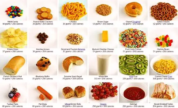 MEDICINA ONLINE CALORIE CIBO CIBO PIATTI DIMAGRIRE DIETA DIETOLOGIA METABOLISMO CALORIE GRASSI CARBOIDRATI GRASSO OBESITA SOVRAPPESO