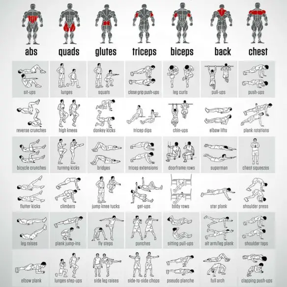 MEDICINA ONLINE Dott Emilio Alessio Loiacono Medico Chirurgo Roma PESI SENZA CORPO LIBERO PALESTRA MUSCOLI Riabilitazione Nutrizionista Medicina Estetica Cavitazione Radiofrequenza Ecografia Pulsata  Macchie Capillari Linfodrenaggio Pene Ano.jpg