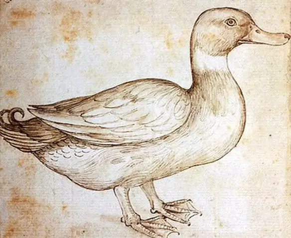MEDICINA ONLINE Dott Emilio Alessio Loiacono Medico Chirurgo Roma LEONARDO DA VINCI VEGETARIANO ANEDDOTO UCCELLI Riabilitazione Nutrizionista Infrarossi Accompagno Commissioni Cavitazione Radiofrequenza Ecografia Pulsata  Macchie Capillari.jpg