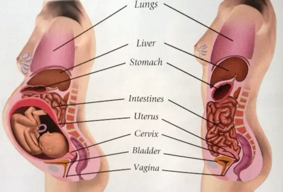 MEDICINA ONLINE Dott Emilio Alessio Loiacono Medico Chirurgo Roma ACIDITA STOMACO GRAVIDANZA CURA RIMEDI   Riabilitazione Nutrizionista Infrarossi Accompagno Commissioni Cavitazione Radiofrequenza Ecografia Pulsata  Macchie Capillari Ano Pene.jpg