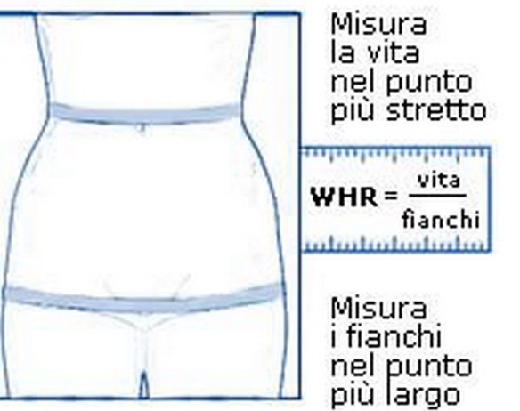 MEDICINA ONLINE Dott Emilio Alessio Loiacono Medico Chirurgo Roma CIRCONFERENZA VITA E FIANCHI RAPPORTO  Riabilitazione Nutrizionista Infrarossi Accompagno Commissioni Cavitazione Radiofrequenza Ecografia Pulsata  Macchie Capillari Ano Pene.jpg