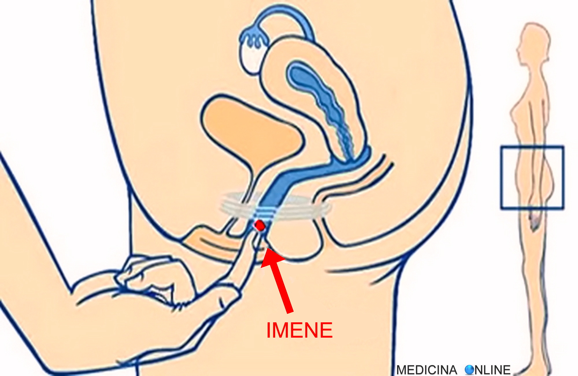 E possibile perdere la verginità senza essere state penetrate? | MEDICINA  ONLINE