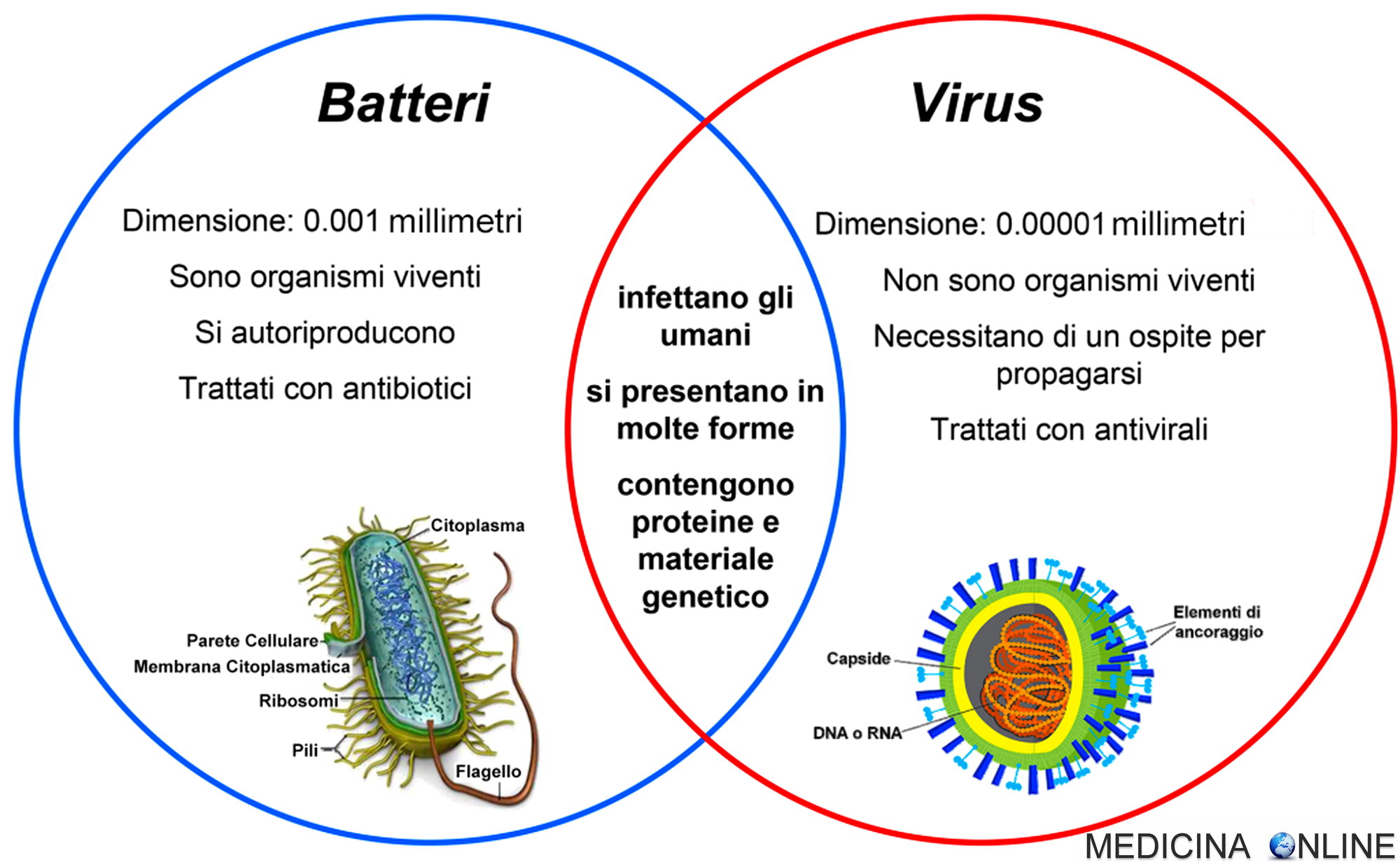 Ranuras sin registro virus