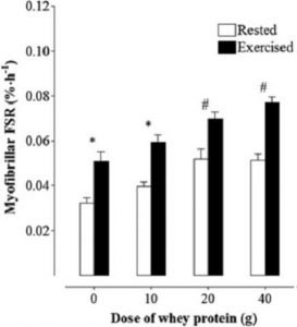 MEDICINA ONLINE PALESTRA MUSCOLI IPERTROFIA ALLENAMENTO FIBRE MUSCOLARI ROSSE BIANCHE POTENZIALE GENETICO PESI PESISTICA WORKOUT PRE POST INTEGRATORI PROTEINE AMINOACIDI RAMIFICATI BCAA WHEY CASEINE CREATINA CARNITINA FISIC.jpg