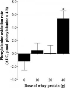 MEDICINA ONLINE PALESTRA MUSCOLI IPERTROFIA ALLENAMENTO FIBRE MUSCOLARI ROSSE BIANCHE POTENZIALE GENETICO PESI PESISTICA WORKOUT PRE POST INTEGRATORI PROTEINE AMINOACIDI RAMIFICATI BCAA WHEY CASEINE CREATINA CARNITINA FISIC.jpg
