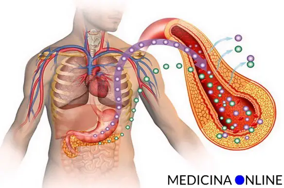 MEDICINA ONLINE Dott Emilio Alessio Loiacono Medico Chirurgo Roma DIFFERENZE DIABETE TIPO 1 2 INSULINO Riabilitazione Nutrizionista Infrarossi Accompagno Commissioni Cavitazione Radiofrequenza Ecografia Pulsata  Macchie Capillari Ano Pene.jpg