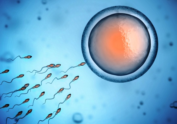 MEDICINA ONLINE SPERMA LIQUIDO SEMINALE PENIS VARICOCELE HYDROCELE IDROCELE AMORE DONNA PENE EREZIONE IMPOTENZA DISFUNZIONE ERETTILE VAGINA SESSULITA SESSO COPPIA LOVE COUPLE FRINEDS LOVER SEX GIRL MAN NO WOMAN WALLPAPER.jpg