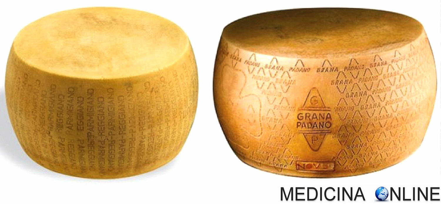 Differenza Tra Grana E Parmigiano Calorie