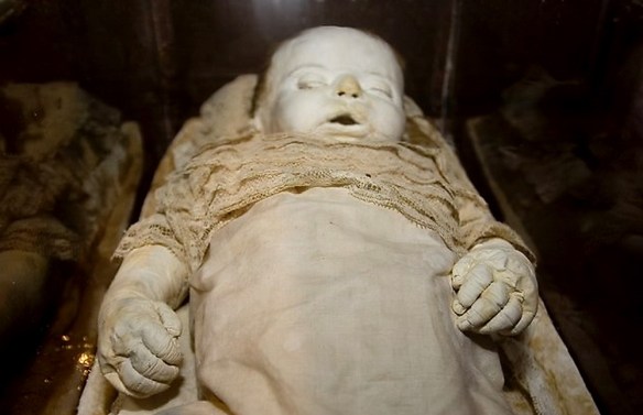 MEDICINA ONLINE Dott Emilio Alessio Loiacono Medico Chirurgo Roma DIFFERENZA INUMAZIONE TUMULAZIONE CREMAZIONE Riabilitazione Nutrizionista Infrarossi Accompagno Commissioni Cavitazione Radiofrequenza Ecografia Pulsata  Macchie Capillari Ano.jpg