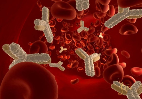 MEDICINA ONLINE Dott Emilio Alessio Loiacono Medico Chirurgo Roma DIFFERENZE ANTICORPO AUTOANTICORPORiabilitazione Nutrizionista Infrarossi Accompagno Commissioni Cavitazione Radiofrequenza Ecografia Pulsata Macchie Capillari Ano Pene