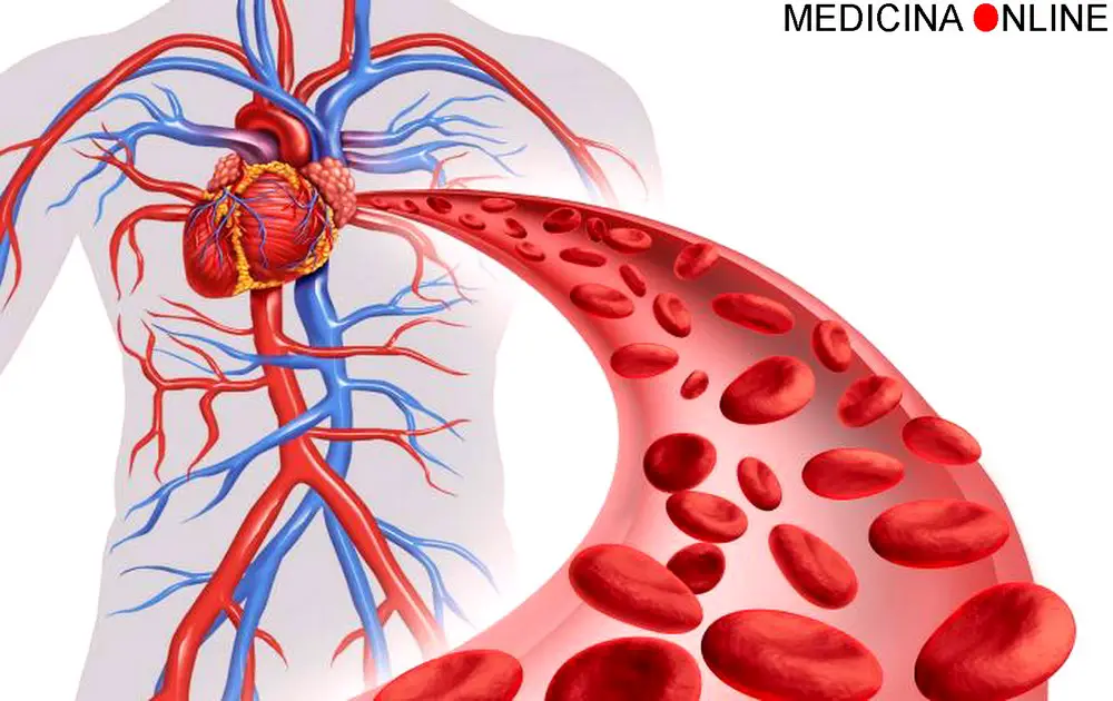 RBC basso, alto nelle analisi del sangue: cause e sintomi - Non solo diete