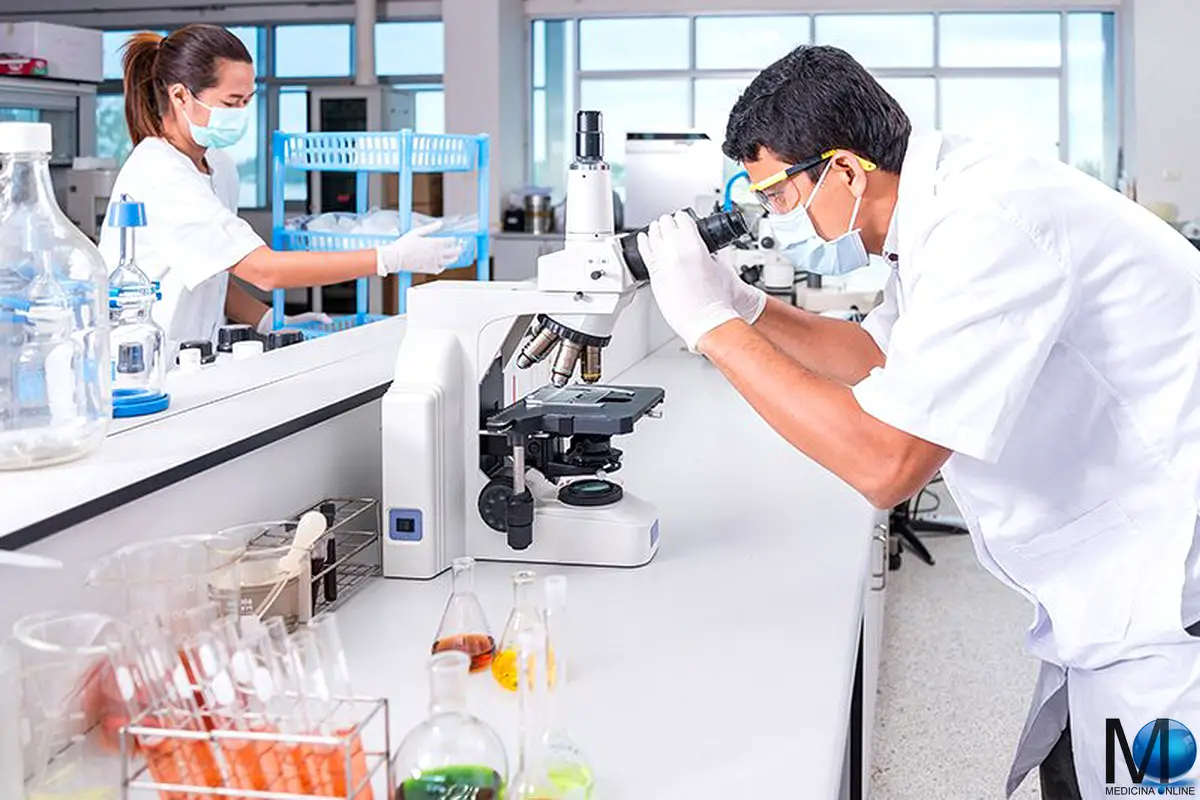 Differenza tra apoptosi, necrosi e autofagia | MEDICINA ONLINE