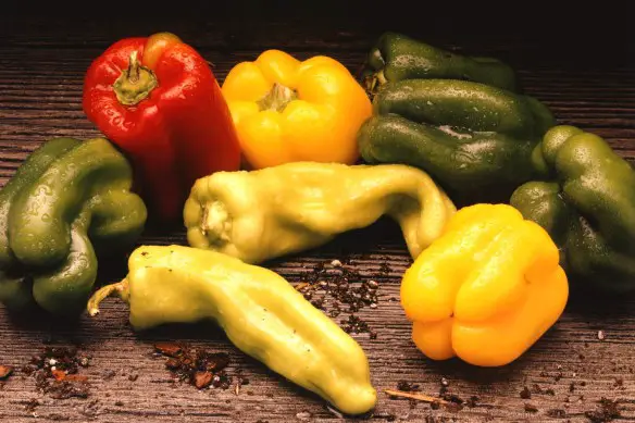 MEDICINA ONLINE MANGIARE PEPERONI UVA UOVA FRUTTA MAGRA DIABETE CALORIE SEMI GLICEMIA GASSATA OLIGOMINARALE RICETTA INGRASSARE DIMAGRIRE INSULINA GLICATA COCA COLA ARANCIATA THE BERE ALC