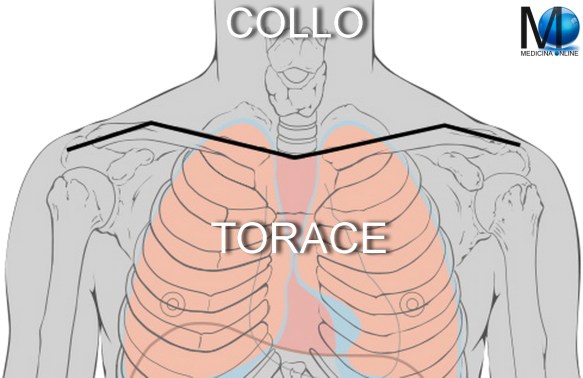 MEDICINA ONLINE MEDICO ESAME OBIETTIVO ANAMNESI PATOLOGICA FISIOLOGICA FAMIGLIARE VISITA MEDICA GENERALE AUSCULTAZIONE ISPEZIONE PERCUSSIONE PALPAZIONE DIFFERENZA FONENDOSCOPIO STETOSCOPIO TORACE COLLO.jpg