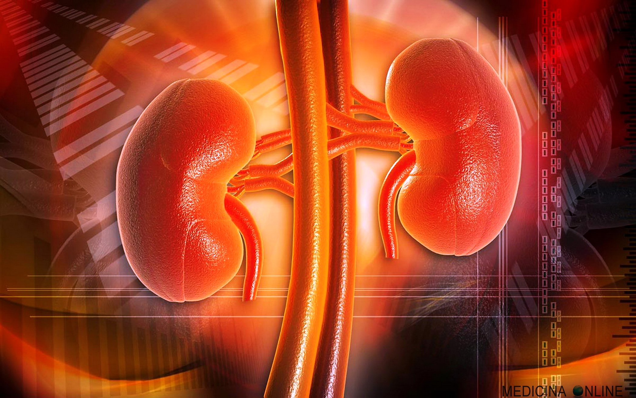 MEDICINA ONLINE RENI RENE URINA APPARATO URINARIO URETRA URETERE AZOTEMIA ALBUMINA SINDROME NEFRITICA NEFROSICA PROTEINURIA POLLACHIURIA UREMIA DISURIA CISTITE INFEZIONE POLICISTICO LABORATORIO