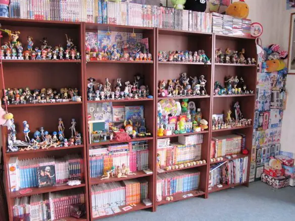 MEDICINA ONLINE OTAKU HIKIKOMORI ANIME MANGA JAPAN SIGNIFICATO ROOM.jpg