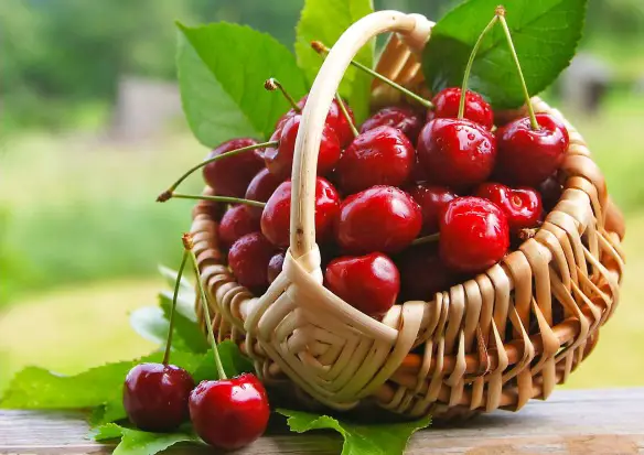 MEDICINA ONLINE BERE GELATO CILIEGE FRUTTA DIABETE BEVANDA CALORIE SODIO GLICEMIA GASSATA OLIGOMINARALE DISTILLATA INGRASSARE DIMAGRIRE INSULINA GLICATA COCA COLA ARANCIATA THE BERE ALCOL DIETA CIBO PASTO LONTANO DAI PASTI