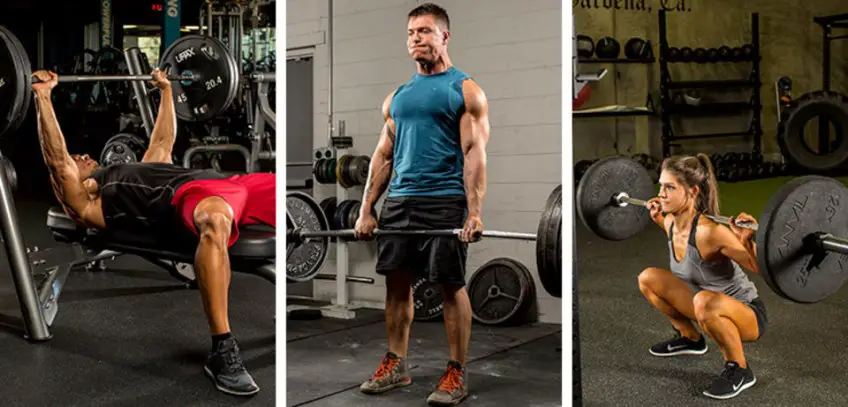 MEDICINA ONLINE PALESTRA MUSCOLI IPERTROFIA ALLENAMENTO FIBRE MUSCOLARI ROSSE BIANCHE POTENZIALE GENETICO PESI PESISTICA WORKOUT PRE POST INTEGRATORI PROTEINE AMINOACIDI RAMIFICATI BCAA WHEY CASEINE CREATINA CARNITINA FISICO