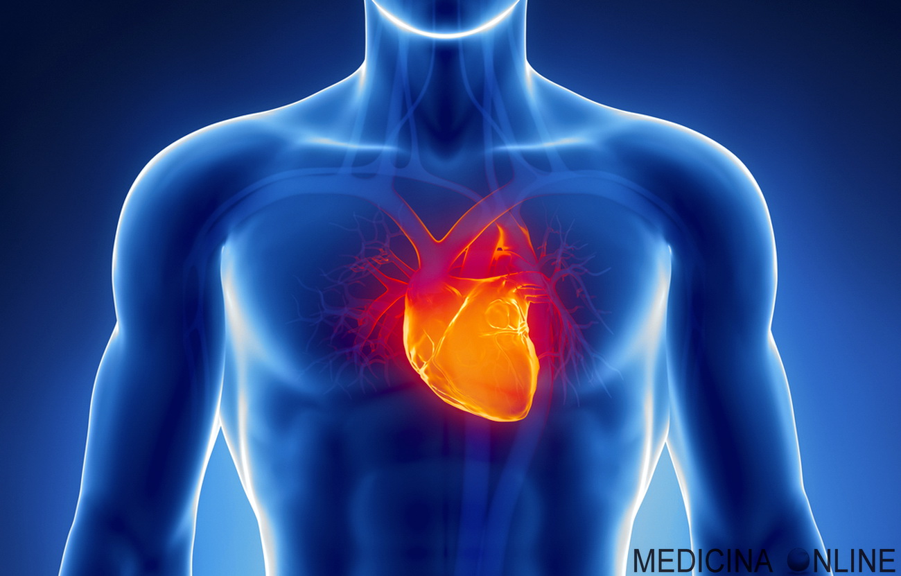 Il Cuore Si Trova A Destra O A Sinistra Perché il cuore si trova a sinistra e non a destra nel torace