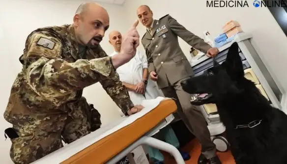 MEDICINA ONLINE LIU CANE CAGNOLINA FIUTA TUMORE CANCRO CANE MOLECOLARE.jpg