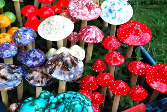MEDICINA ONLINE ALLUCINOGENI FUNGHI FUNGHETTI ECSTASY DROGA EFFETTI MDMA METABOLITA MDA DIPENDENZA ALLUCINAZIONI VISIONI ECCITAZIONE PILLS PILLOLA COMPRESSE PASTIGLIE PASTICCHE ILLEGALI FARMACI psychedelic mushroom hallucin.jpg