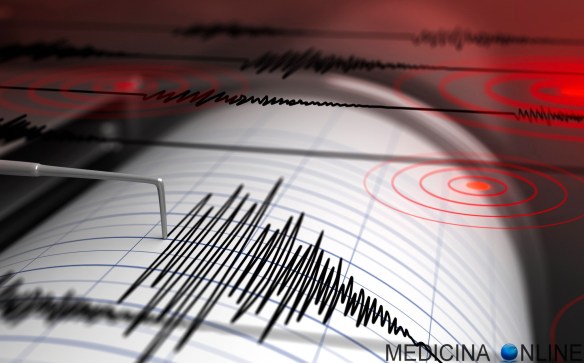 MEDICINA ONLINE EARTHQUAKES TERREMOTO CHILE CINA HAITI MAGNITUDO MERCALLI ONDULATORIO SUSSULTORIO AFTERSHOCK FORESHOCK MAINSHOCK TERRA TREMA DANNI VITTIME PALAZZI DISTRUTTI