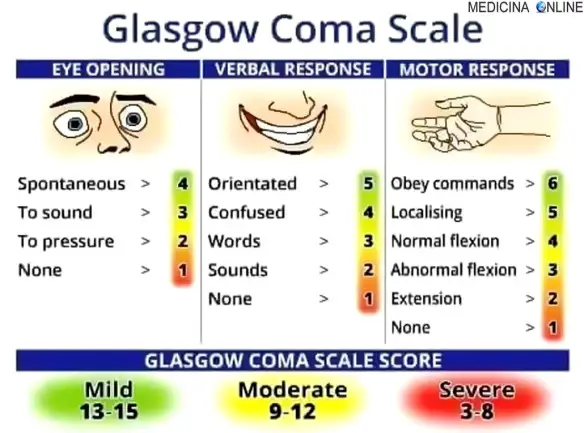MEDICINA ONLINE GLASGOW COMA SCALE TABELLA CLASSIFICAZIONE COMA ICTUS CEREBRALE MENINGI MENINGITE CERVELLO SISTEMA NERVOSO CRANIO MIDOLLO SPINALE VIRALE BATTERICA INFEZIONE NERVO ENCEFALO CERVELLO.jpg