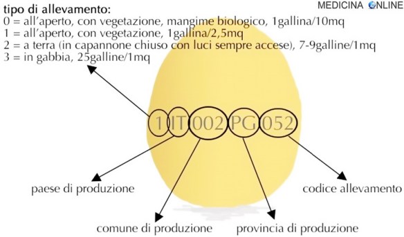 MEDICINA ONLINE UOVO GALLINA SCADENZA Come si legge l'etichetta delle uova (codici uova 0 1 2 3) POLLO ALL'APERTO IN GABBIA ALLEVAMENTO