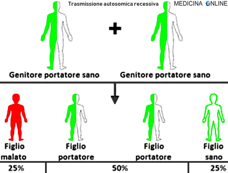 MEDICINA ONLINE GENETICA TRASMISSIONE AUTOSOMICA DOMINANTE RECESSIVA GENI CROMOSOMI ALLELE MALATO PADRE FIGLI PERCENTUALI TRASMESSO MALATTIA GENICA MADRE GENITORE XX XY