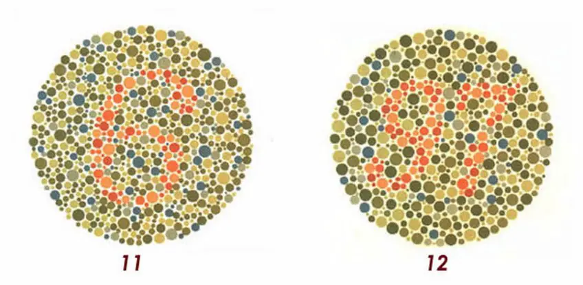 MEDICINA ONLINE Tavole di Ishihara Test Daltonismo Tavole