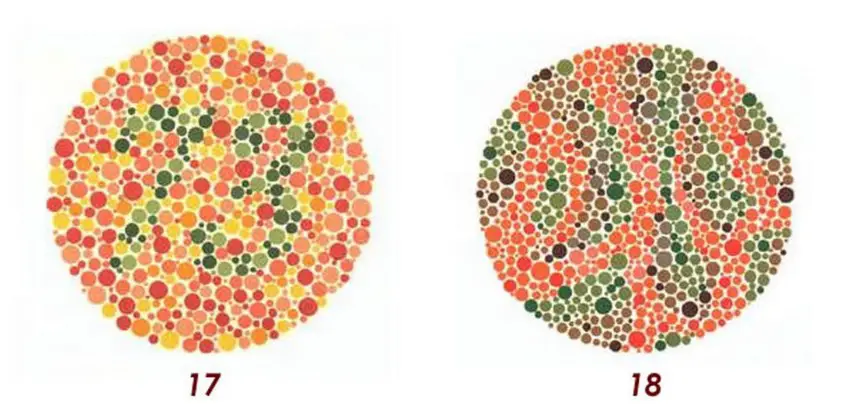 MEDICINA ONLINE Tavole di Ishihara Test Daltonismo Tavole