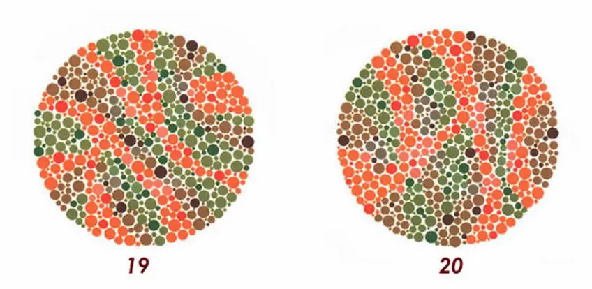 MEDICINA ONLINE Tavole di Ishihara Test Daltonismo Tavole