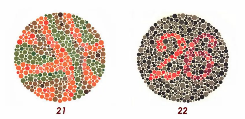 MEDICINA ONLINE Tavole di Ishihara Test Daltonismo Tavole