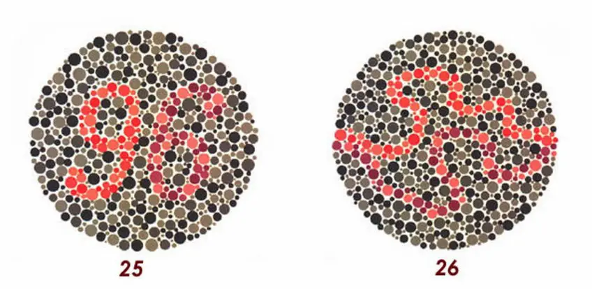 MEDICINA ONLINE Tavole di Ishihara Test Daltonismo Tavole