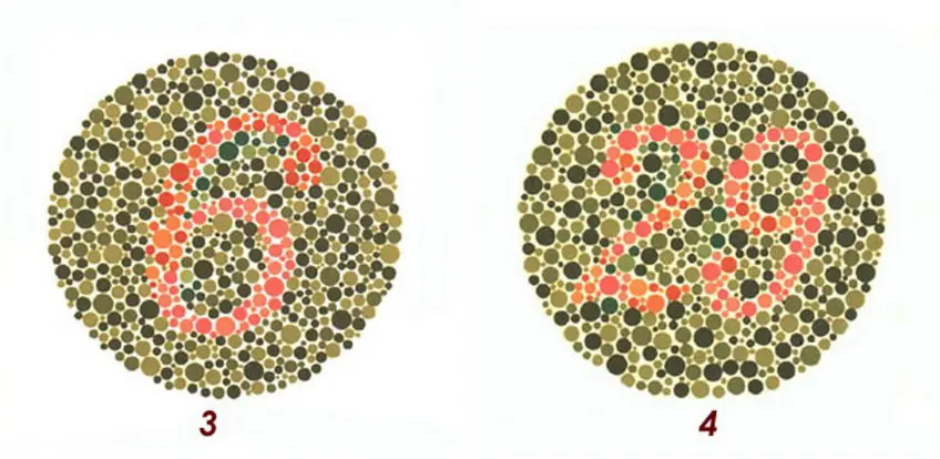 MEDICINA ONLINE Tavole di Ishihara Test Daltonismo Tavole