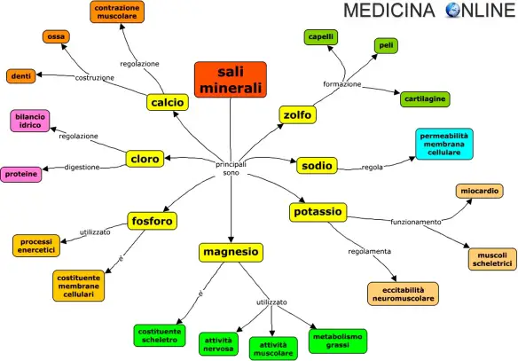 MEDICINA ONLINE SALI MINERALI DEFINIZIONI ALIMENTI CIBI DIETA INTEGRATORI MIGLIORI A CHE SERVONO DOVE TROVARLI CALCIO FOSFORO MAGNESIO SODIO POTASSIO CLORO ZOLFO.jpg