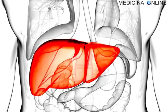 MEDICINA ONLINE MALATTIE FEGATO EPATOPATIE AUTOIMMUNI VARICI ESOFAGEE SINTOMI PRURITO PELLE ITTERO INSUFFICIENZA RENALE ALCOL GRASSI DIABETE CISTIFELLE EPATITE A B C CIRROSI EPATICA STEATOSI ALCOLICA NON EPATOCITI TRAPIANTO.jpg