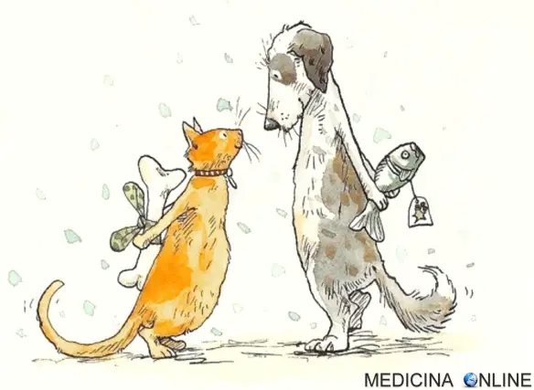 MEDICINA ONLINE EMPATIA REGALO ANIMALI METTERSI NEI PANNI DEGLI ALTRI CANE GATTO OSSO PESCE GIFT AMORE AMICO REGALARE CUORE AMICIZIA AMICO DEL CUORE.jpg