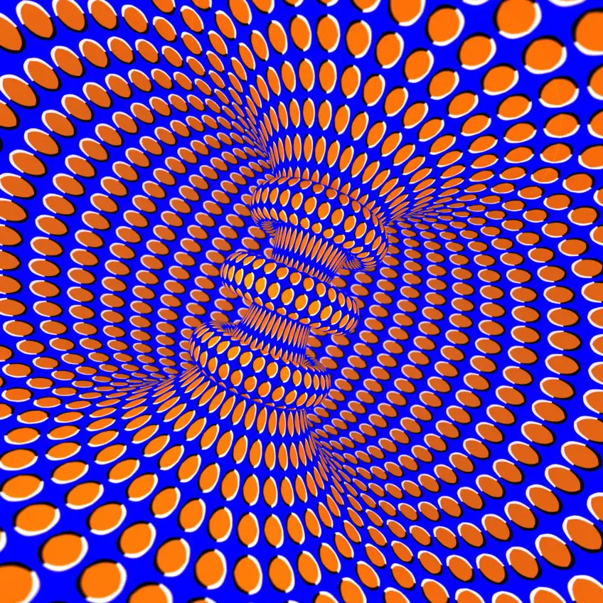 MEDICINA ONLINE ILLUSIONE OTTICA IMMAGINE ESEMPIO